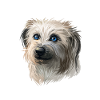 Pyrenäen-Schäferhund-Aquarell-Illustration
