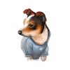 Rat Terrier Dog Aquarelle Illustration