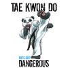 Lustiger Taekwondo Panda - Lustiger TKD