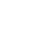 Cesky Terrier "Black Edition"