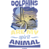 Delfin Delfinschule Säugetier Meer Delfinarium