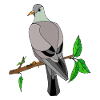 Oiseau