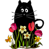 Chat