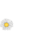 chamomile wink