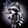 Racoon Smoking