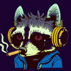 Racoon