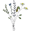 flower meadows bouquet