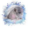 chinchilla,graffiti,painting,baby,blue