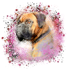 Boxer,Bulldog, Pug,Painting,graffiti
