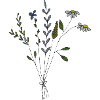 blumenwiese strauss fabric