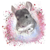 chinchilla,graffiti,malerei,angora kaninchen