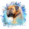 Boxer,Bulldog, dog,painting,graffiti