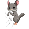 Chinchilla