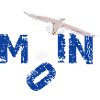 Moin Möwenschiss Original