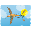 Le colibri