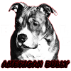 American Bully Pocket
