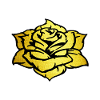 rose dorée
