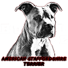 American Staffordshire Terrier