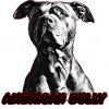 American Bully XL