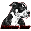 American Bully Pocket