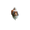 Sheltie Hund - Sheltie