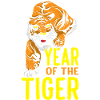 Chinese Year Of The Tiger