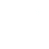Dolphin Heartbeat