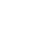Lizard Heartbeat