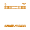 Freight Diesel Train Driver
