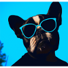 Funny dog with sunglasses Blue