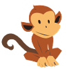 Cute little monkey