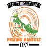Gottesanbeterin Geschenk Mantis Fangschrecke