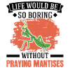 Gottesanbeterin Geschenk Mantis Fangschrecke