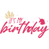 Its My Birthday Pink Script Crown