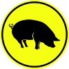 Pig Animal