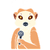 Meerkat sings singer Gift