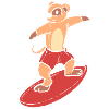 Meerkat Surfer Wakeboarder Gift