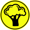 Broccoli Vegetables