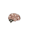 Bootsbauer Anatomie Gehirn Schiffsbauer