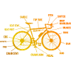 Anatomy Of Bicycle