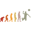 Human Evolution Volleyball Player