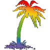 Rainbow Palm noir