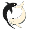 Yin & Yang