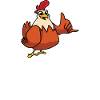 I really like chickens