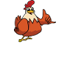 Jesus, coffee and chickens