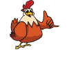 Pas de vie sans poulets