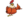 This girl loves chickens