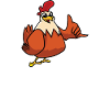 I really love my chicken