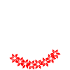 Swiss deer
