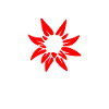 Schweizer Enzian